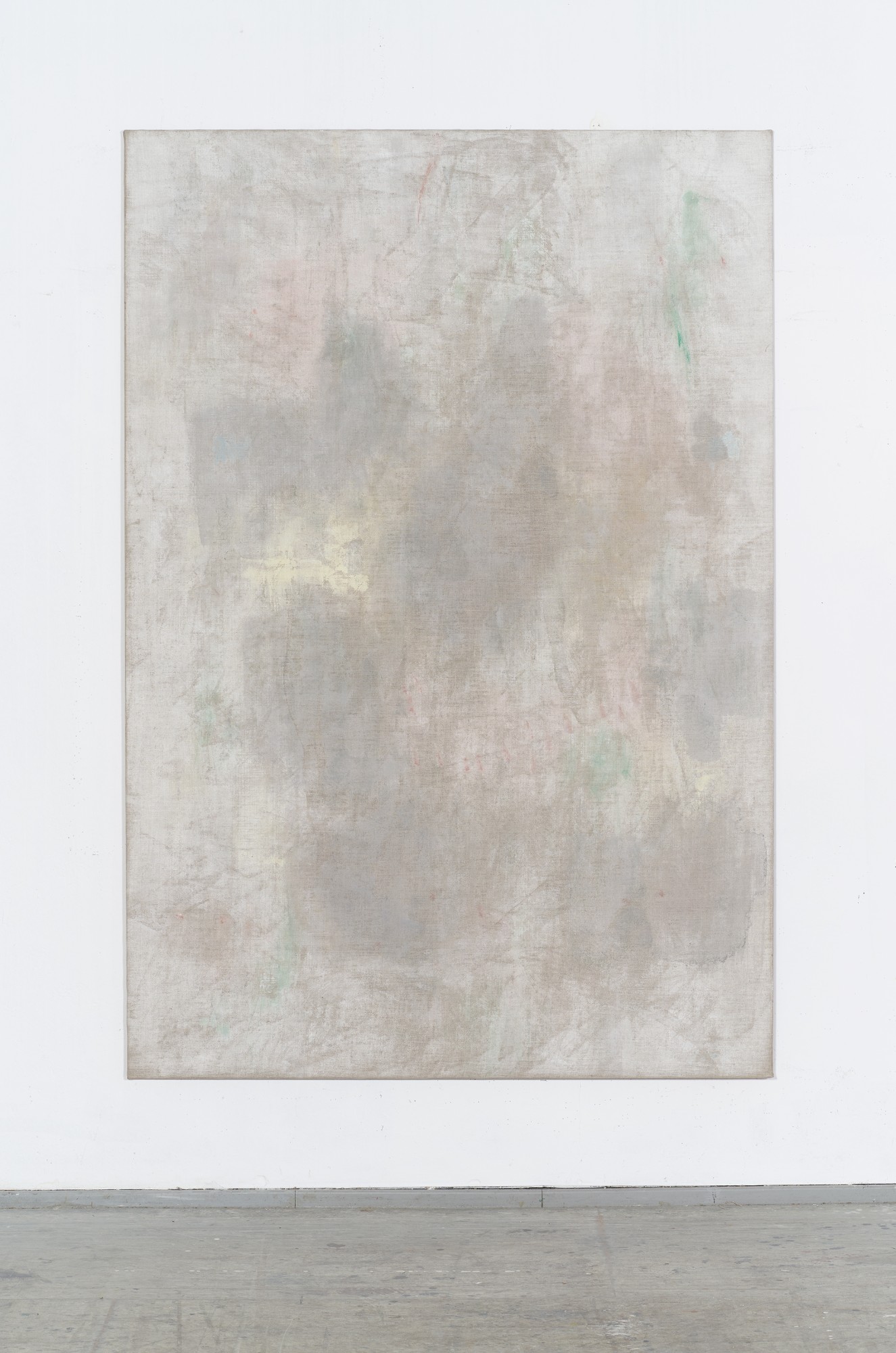 Erwin Gross, Jatropha 4, 2017, acrylic on canvas, 220 x 150 cm